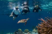 Woodwind sail and snorkel tour