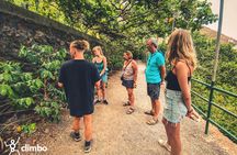 Full-day hiking experience in the rainforest