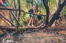 Full-day hiking experience in the rainforest