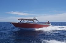 Private tour to Blue Cave and Vis by speedboat