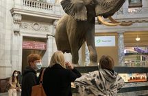 Washington DC Smithsonian National Museum of Natural History tickets and guided tour