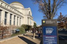Washington DC Smithsonian National Museum of Natural History tickets and guided tour