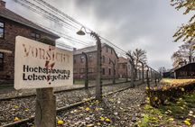 Auschwitz-Birkenau Memorial Museum fast-track entry and guided tour