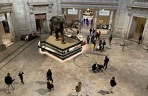 Washington DC Smithsonian National Museum of Natural History tickets and guided tour