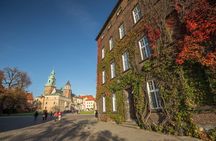 Krakow Wawel Castle and Cathedral guided tour