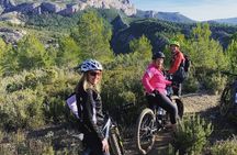 E-Bike tour of Sainte-Victoire from Aix-en-Provence