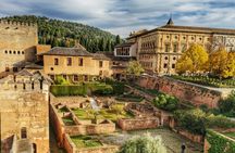 Alhambra tickets and private tour