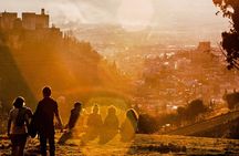 Alhambra tickets and private tour