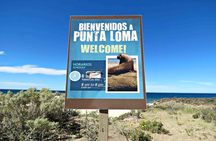 Puerto Madryn private tour and Punta Loma sea lions reserve visit