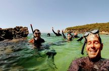 Arrábida snorkeling tour and wine tasting from Lisbon