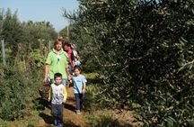 Animal farm tour and Aaromas garden at Bio Fattoria Augustali