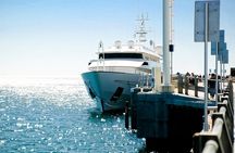 Guided tour of Puerto Madryn and Punta Loma sea lions reserve