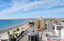 Guided tour of Puerto Madryn and Punta Loma sea lions reserve