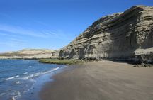Tour of Pirámides Port and boat experience in Puerto Madryn