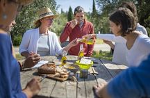 Languedoc wine and olive oil tour for small groups