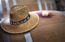 Small-group oyster and wine tasting tour from Sète