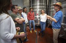 Small-group oyster and wine tasting tour from Sète