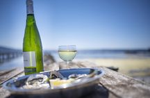Small-group oyster and wine tasting tour from Sète