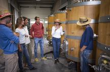 Small group tour of the wine châteaux in Montpellier