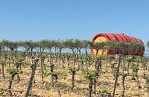 Small group tour of the wine châteaux in Montpellier
