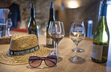 Oyster and wine tasting tour for small groups starting from Montpellier