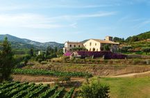 Boat tour to the vineyards with wine tasting from Barcelona