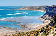 Peninsula Valdes and sea lions reserve tour from Puerto Madryn
