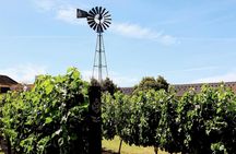 South of Lisbon guided tour with wine tasting
