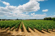 South of Lisbon guided tour with wine tasting