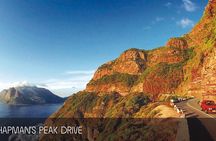 Cape Peninsula Half-Day Tour from Cape Town