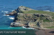 Cape Peninsula Half-Day Tour from Cape Town
