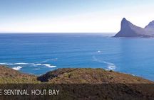 Cape Peninsula Half-Day Tour from Cape Town