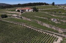 Wine tasting experience with tour of Quinta da Portela de Baixo winery
