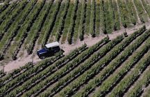 Wine tasting experience with tour of Quinta da Portela de Baixo winery