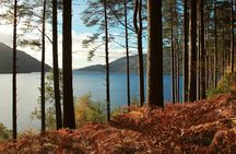 Loch Lomond and whisky small-group day tour from Glasgow