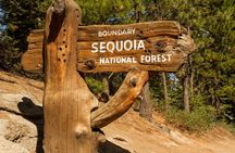 Sequoia and Kings Canyon National Park self-guided driving audio tour