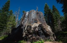 Sequoia and Kings Canyon National Park self-guided driving audio tour