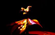 Rhythm of the dance show