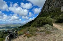 E-Bike Cape Peninsula tour from Cape Town