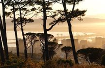 Marine Wildlife Boat Cruise and Cape Town City Tour