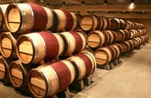 Troodos mountain villages and wineries tour with tasting