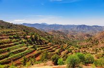 Winery tour in Troodos mountain village with wine tasting