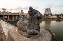 A glimpse of South Bengaluru walking tour