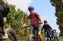 E-Bike Cape Winelands Half Day Tour from Cape Town