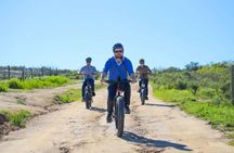 E-Bike Cape Winelands Half Day Tour from Cape Town