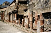 Herculaneum 2-hour private tour
