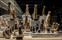 Sharm City Tour with the Antiquity Museum