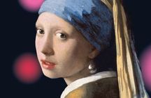 Mauritshuis The Hague entrance ticket