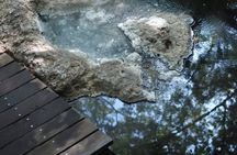 Pamukkale, Laodicea and Kaklık Cave private tour from Denizli hotels
