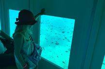 Poseidon submarine guided cruise with underwater views